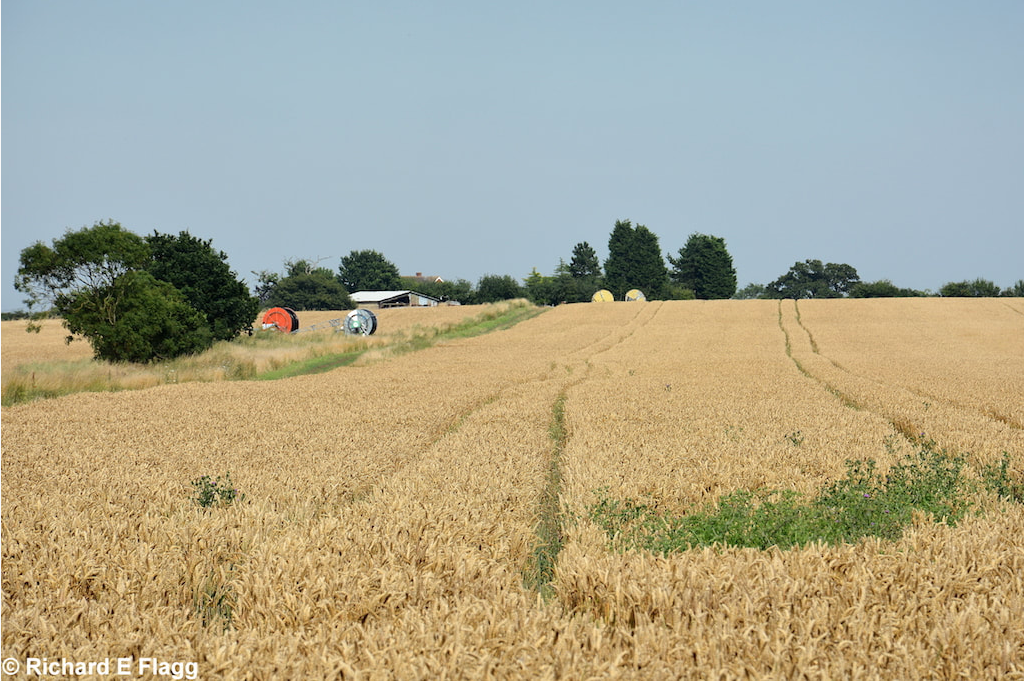 004E:W Airstrip. Looking east 2 - 26 July 2014.png